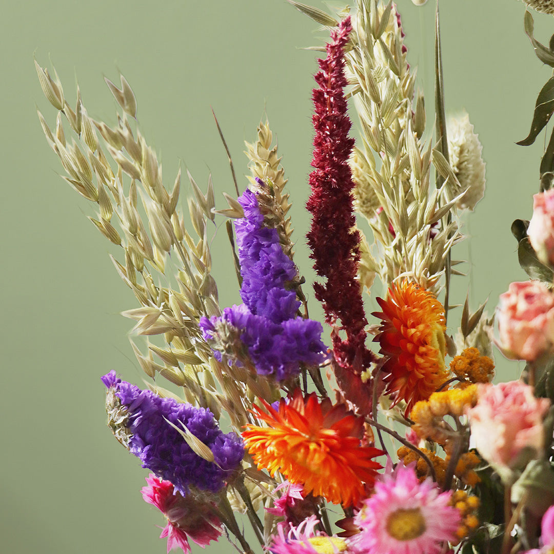 Sundew dried flower arrangement by Dried Blooms, posted UK-wide from The Petal Boutique
