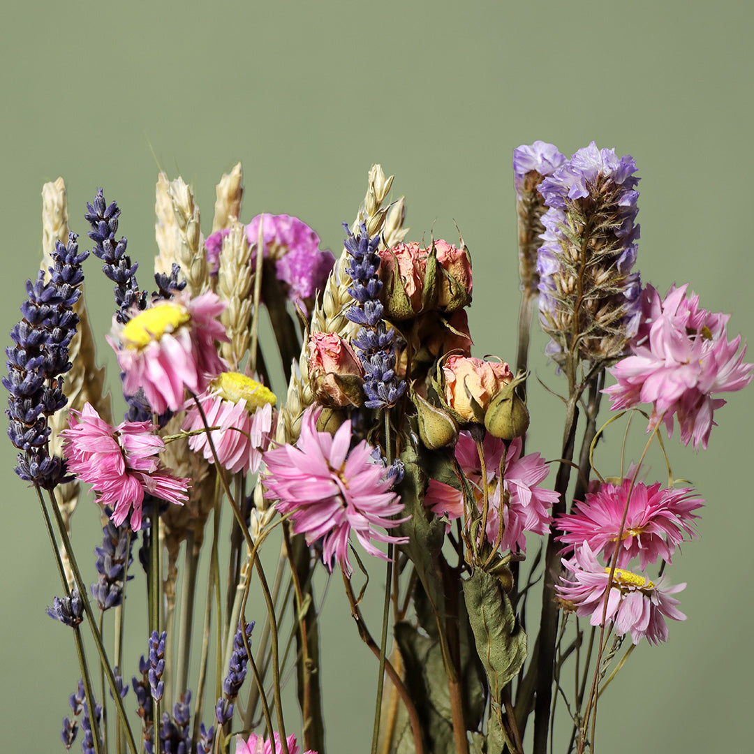 Blossomwick dried flower arrangement by Dried Blooms, posted UK-wide from The Petal Boutique