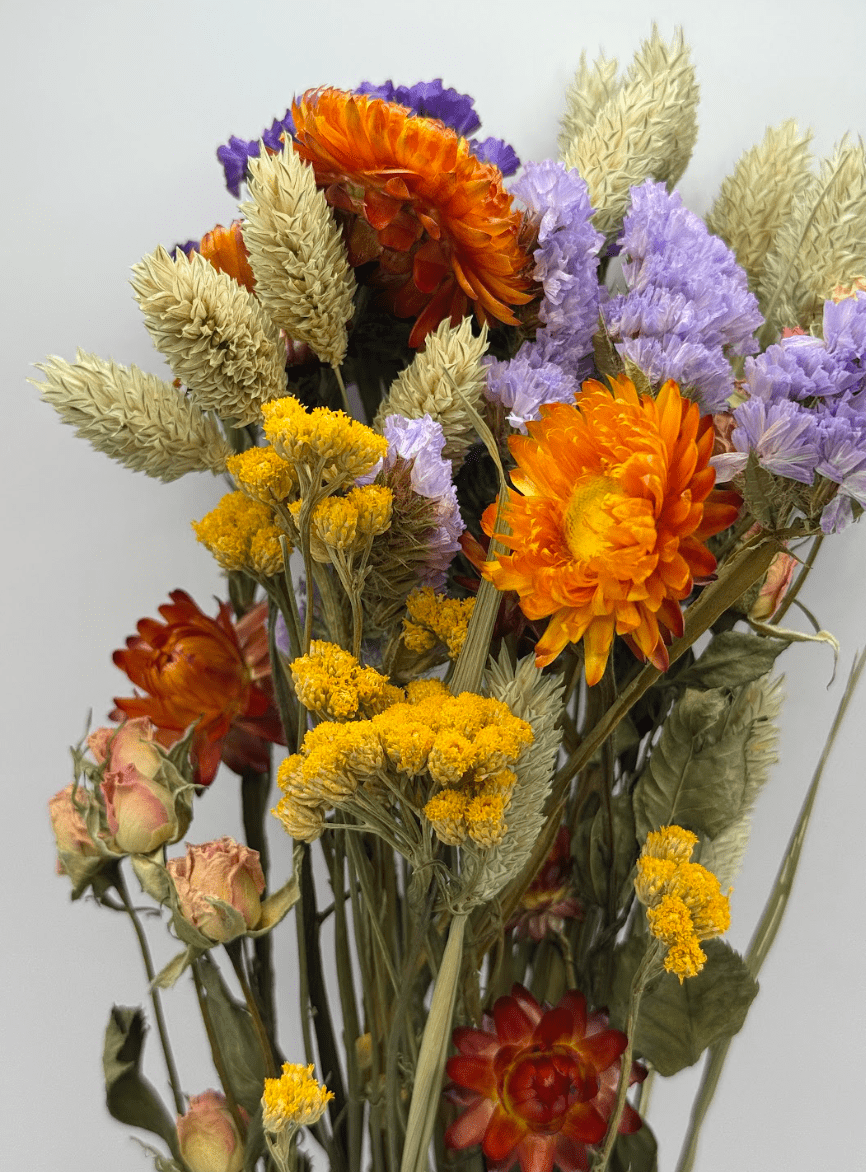 Colefield | Dried Timeless Bouquet, a dried bouquet hand-tied by our florists in Winchester
