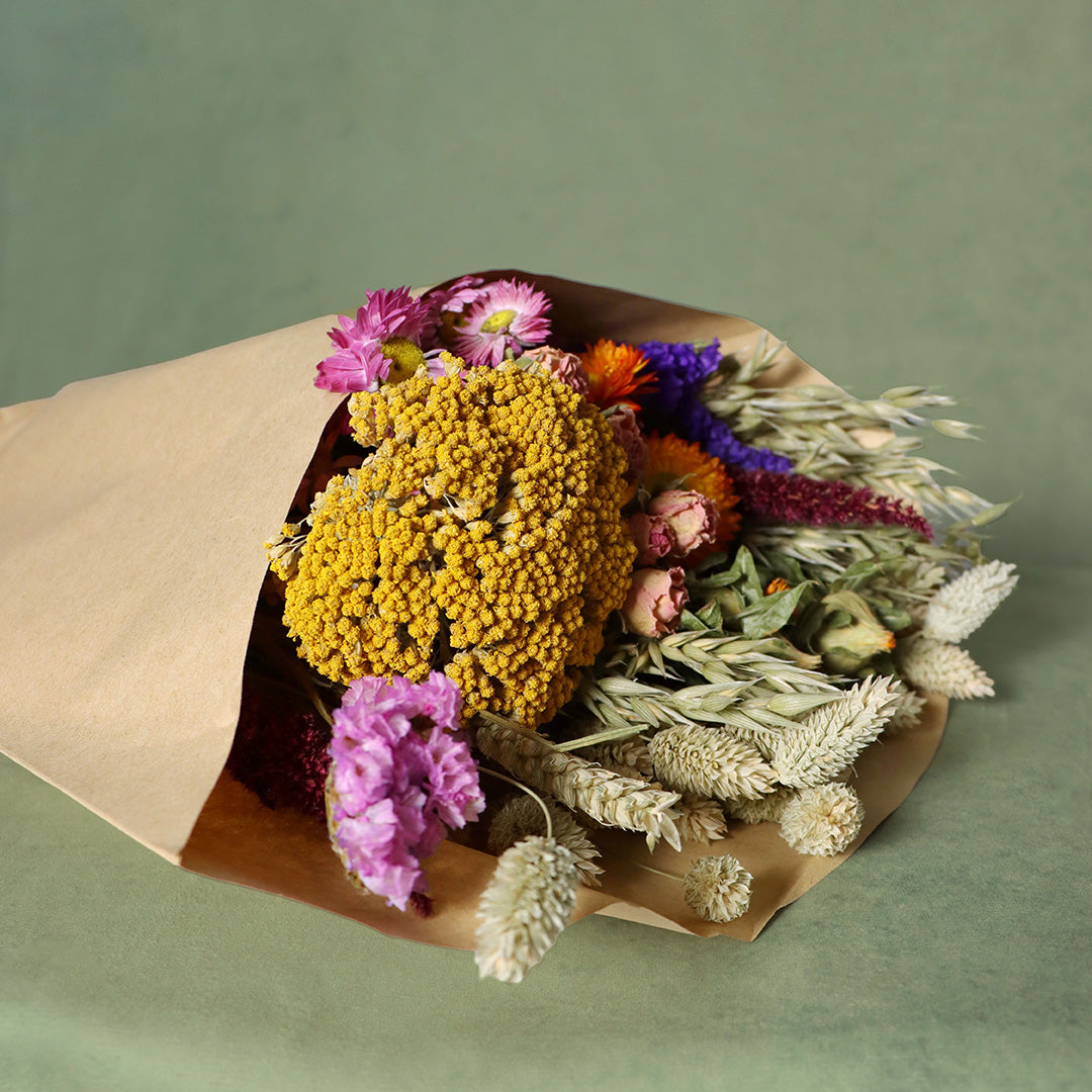 Sundew dried flower arrangement by Dried Blooms, posted UK-wide from The Petal Boutique