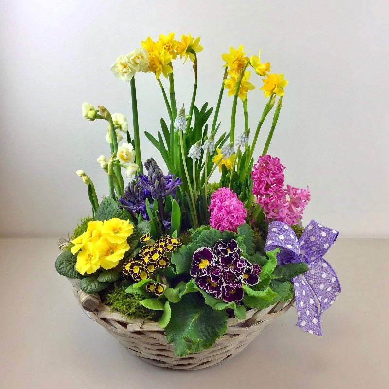 Scented Spring Garden hand-made by The Petal Boutique florists, available for Winchester delivery or Weyhill collection