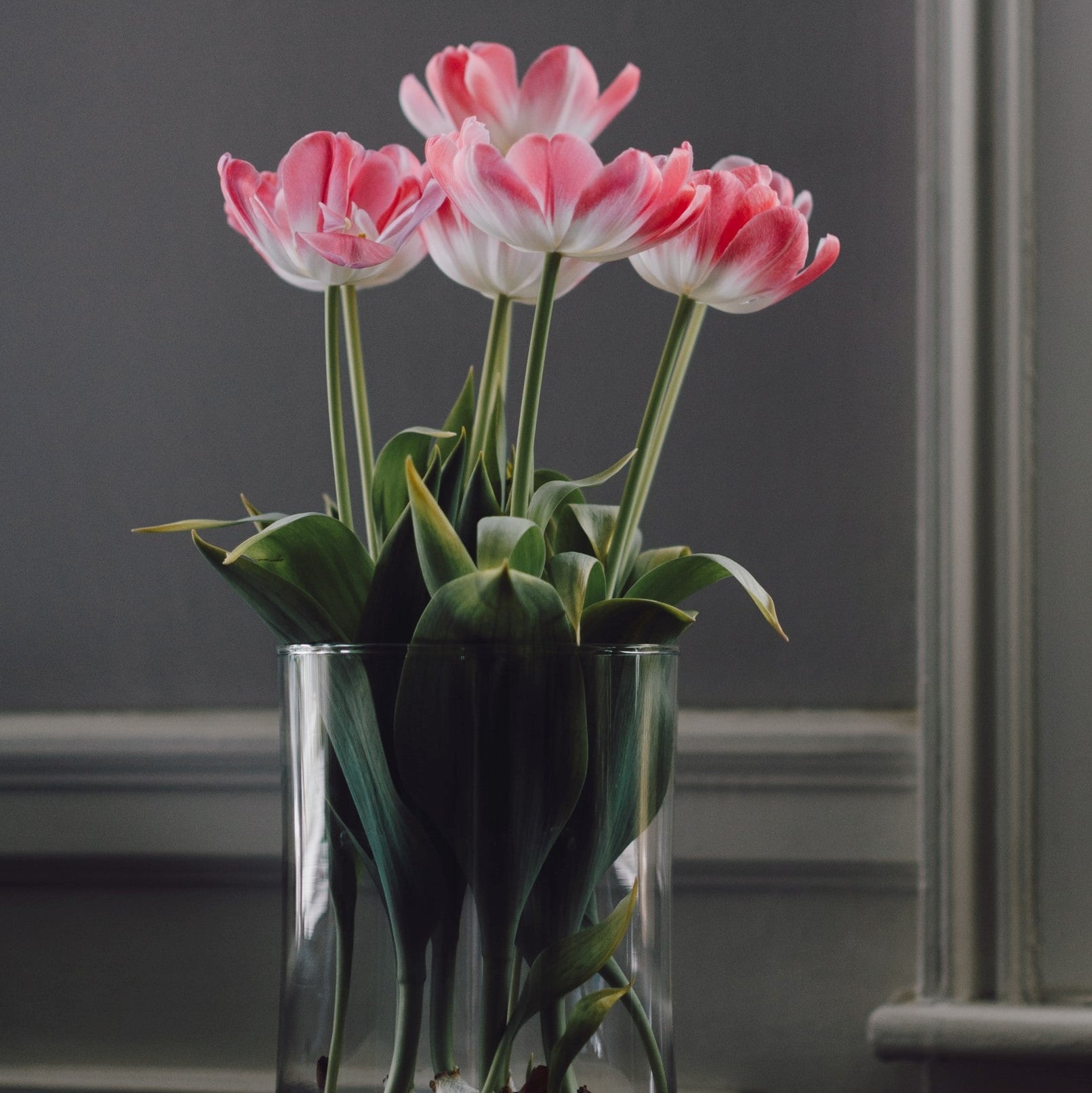 Pink tulips arranged in a clear glass vase against a grey panelled wall