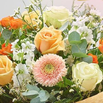 Close-up of a bouquet with peach, white, and orange flowers.Delivery Winchester SO23, SO24